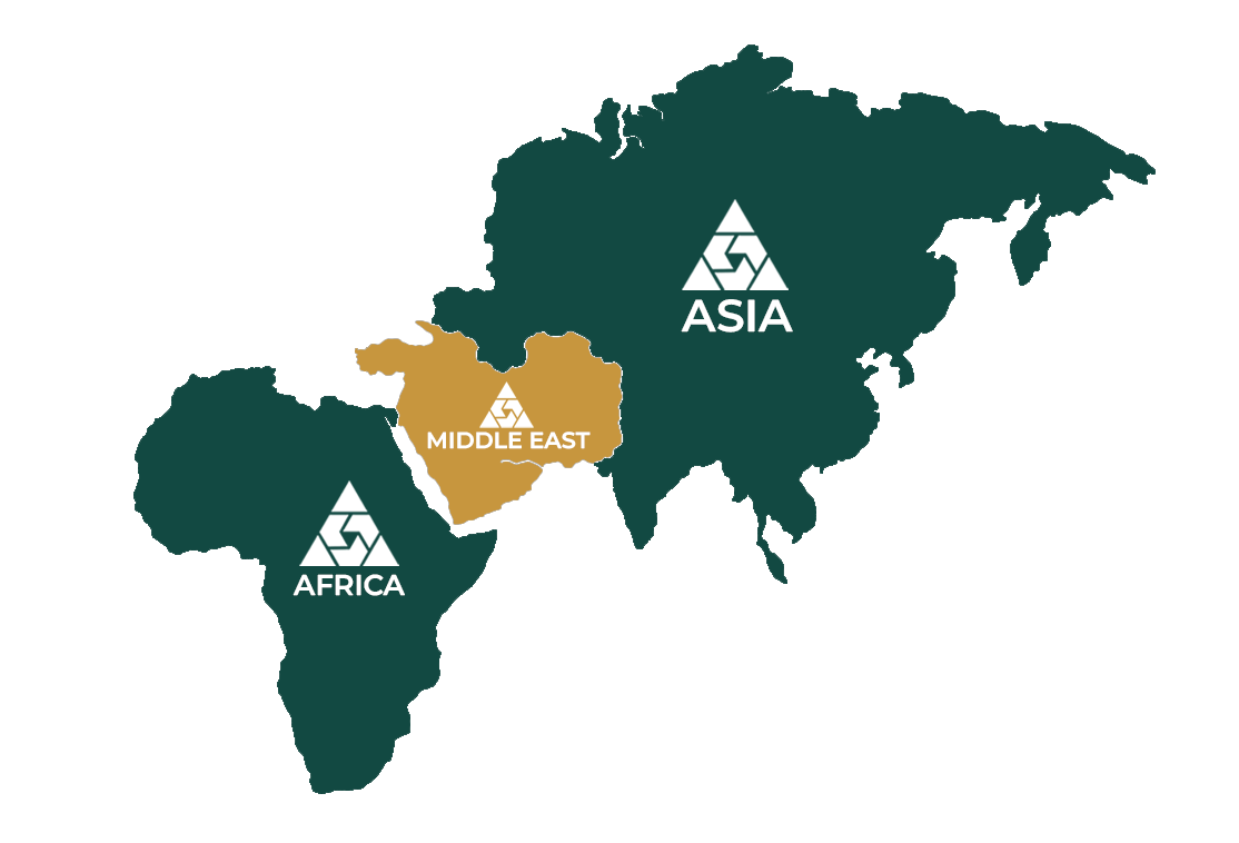 IIC Worldwide Global Presence